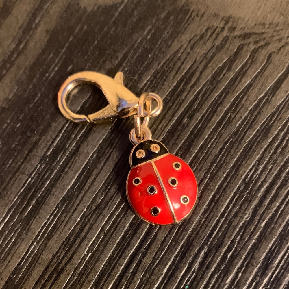 Red Ladybug Charm Keychain lucky 430